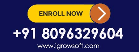 sap online training in ameerpet hyderabad
